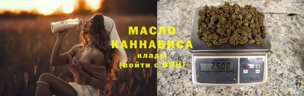 стаф Гусь-Хрустальный