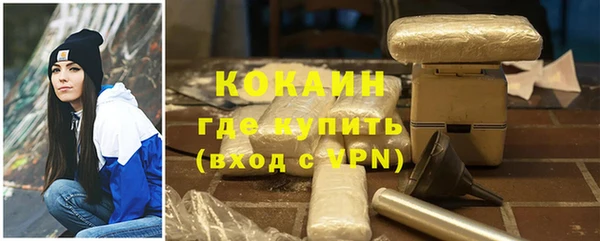 стаф Гусь-Хрустальный