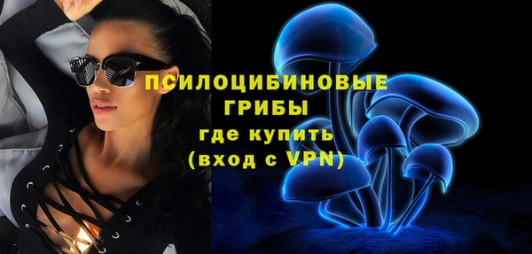 стаф Гусь-Хрустальный