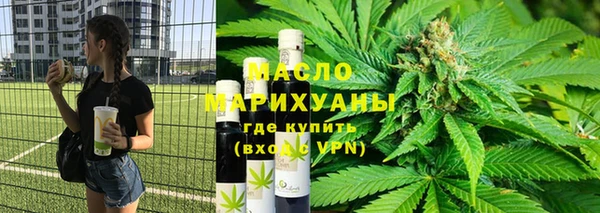 стаф Гусь-Хрустальный