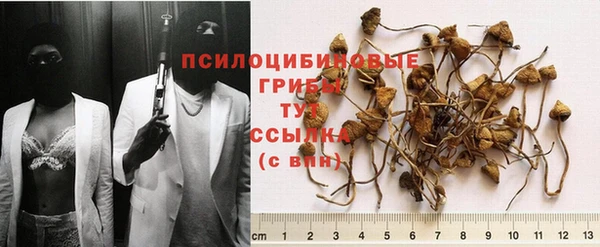 mix Гусиноозёрск